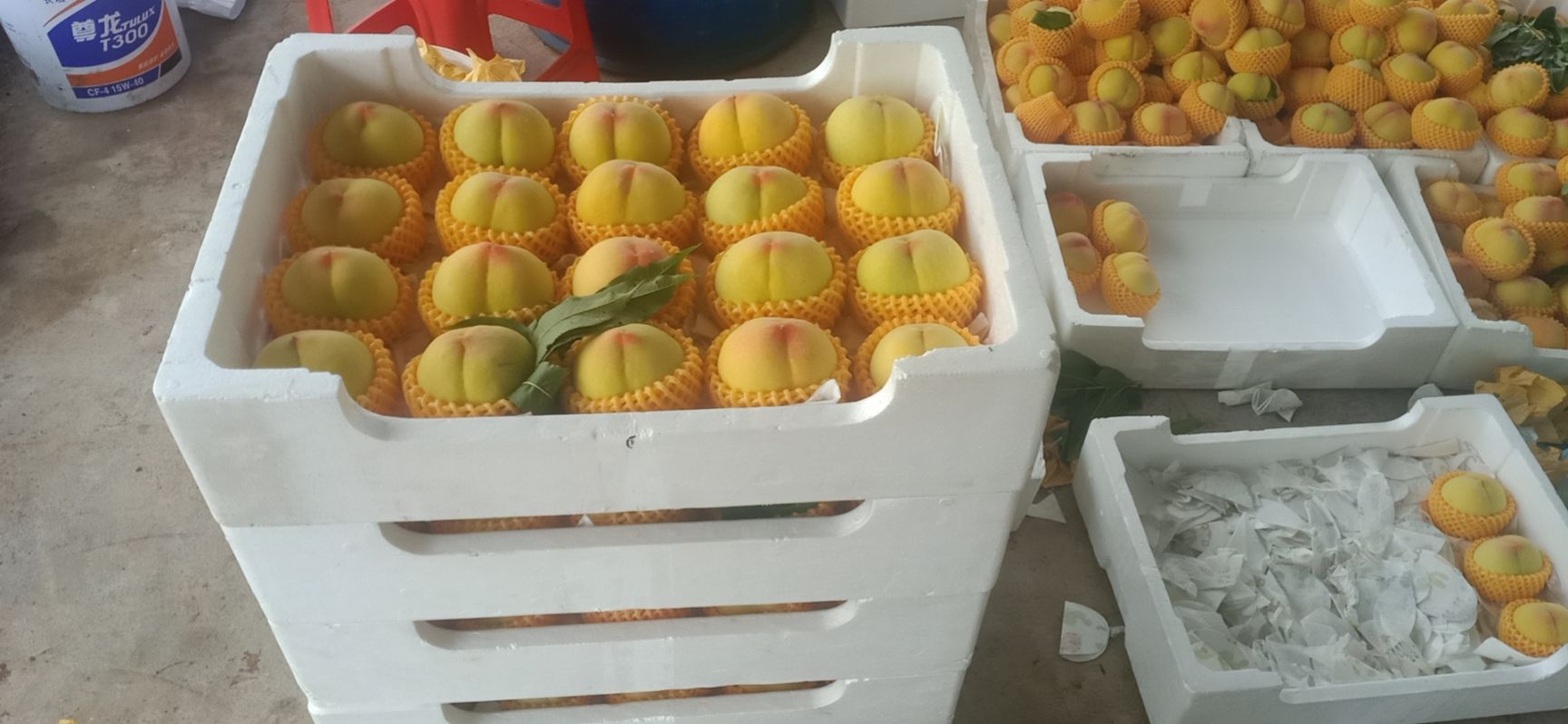  精品黄桃，香甜可可