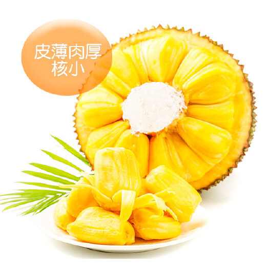 海口产地发货  一件代发海南黄心菠萝蜜