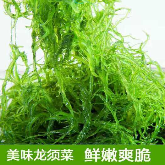 霞浦县海藻裙带菜