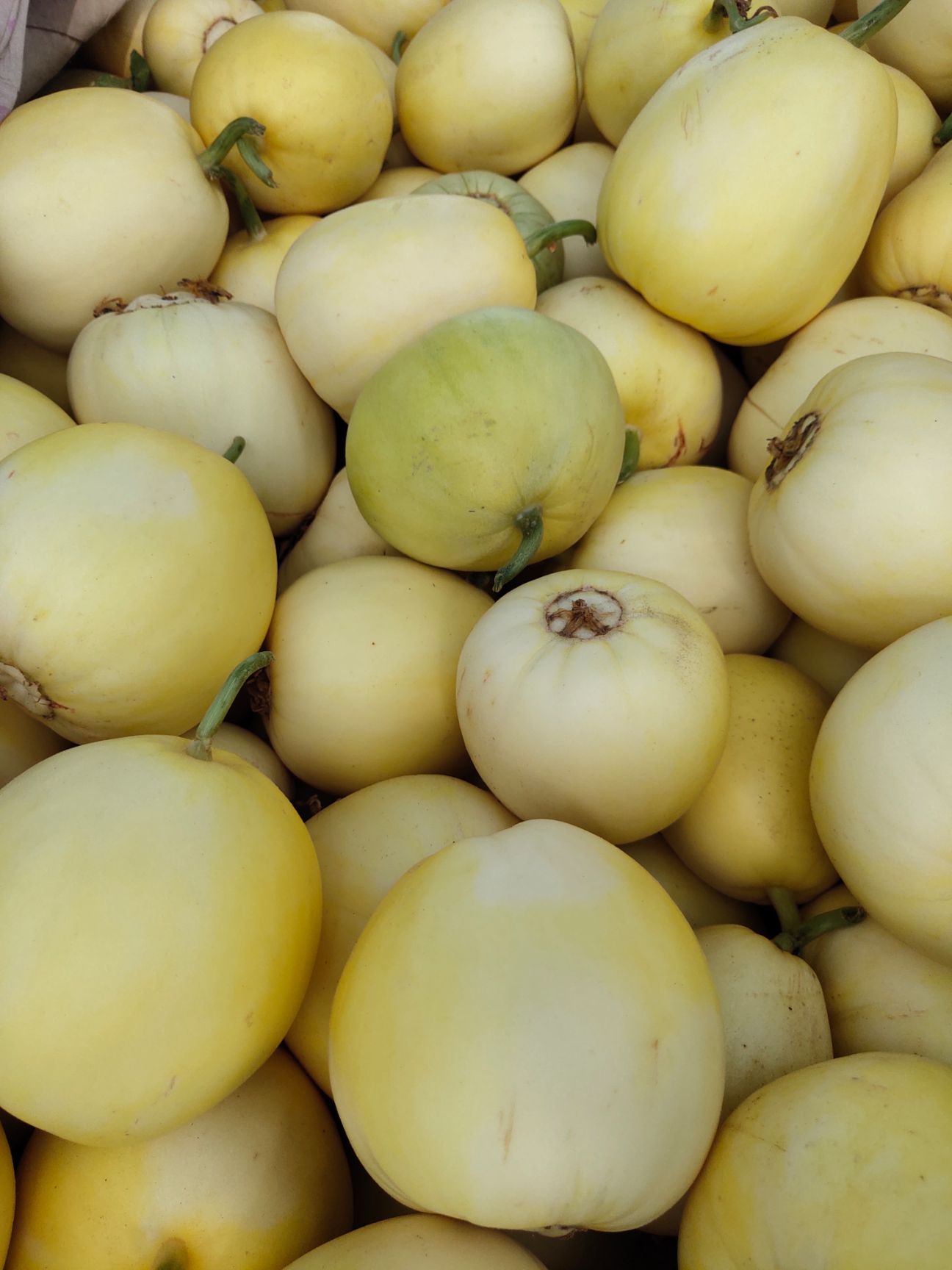 产地直供星甜二零甜瓜