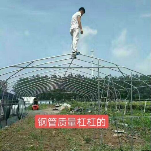 东光县养殖大棚 种植养殖都用它