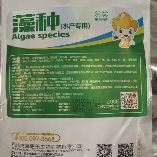 武汉狐尾藻种子  藻种