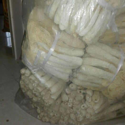 宁都县长裙竹荪 干竹荪