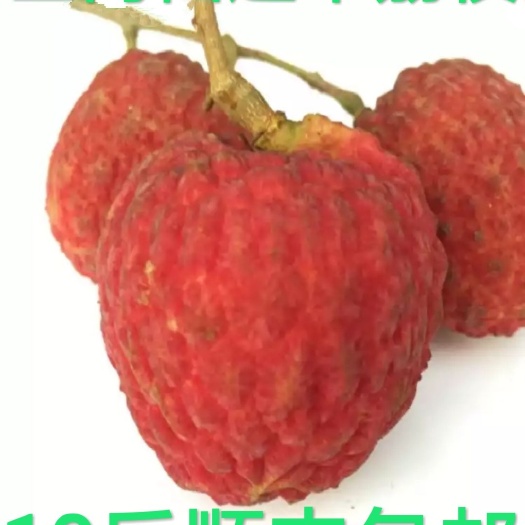 广州增城基岗新鲜仙进奉荔枝5斤顺丰包邮