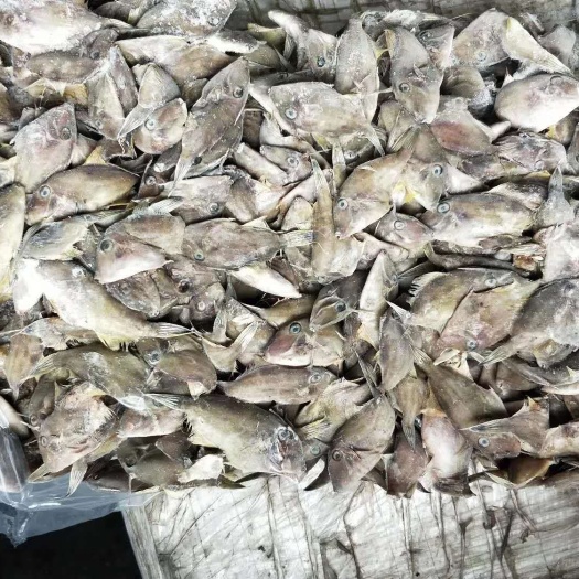 饶平县剥皮鱼干 一斤25条左右  剥皮鱼