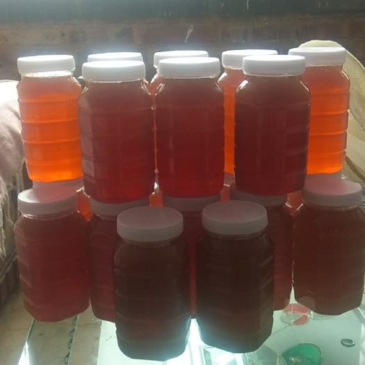 石楼县 自产天然高浓度枣花蜜