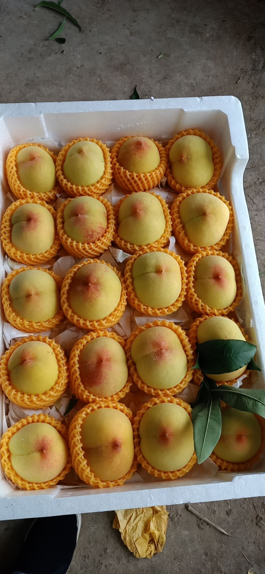  精品黄桃，香甜可可