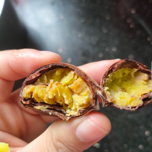 沂水县山东油栗 栗子需要的联系我