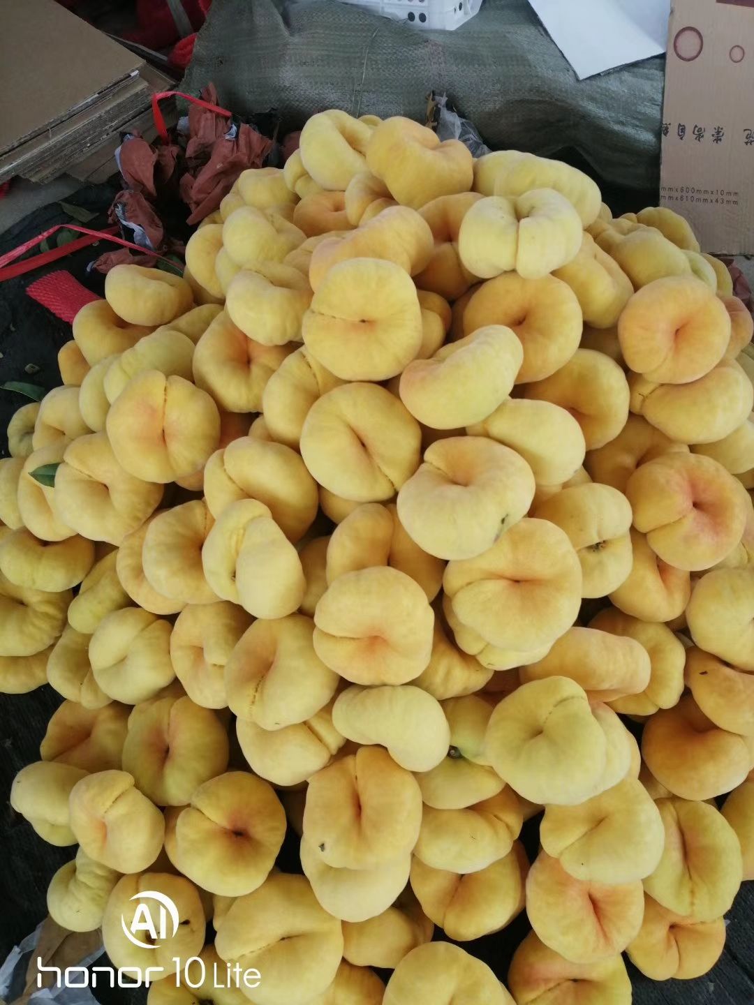 油蟠桃 山东省临沂市蒙阴县