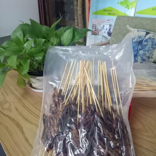 乐陵市 蚂蚱烤串