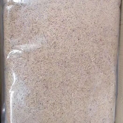 漳州蛋白质饲料 优质蛋白饲料凤凰虫
