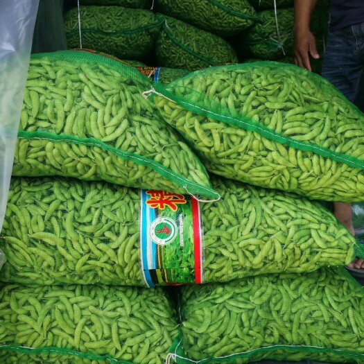 邳州市 精品毛豆翠绿宝，需要的可以联系我