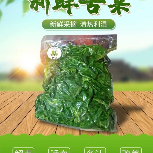 巴彦淖尔 新鲜苦菜