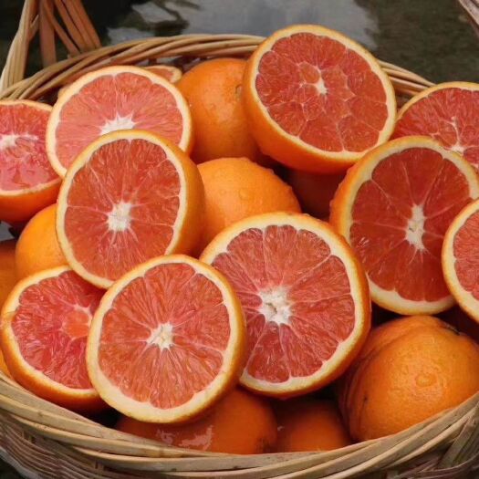 秭归县中华红橙现採现发支持视频看货一手货源带发全国市场