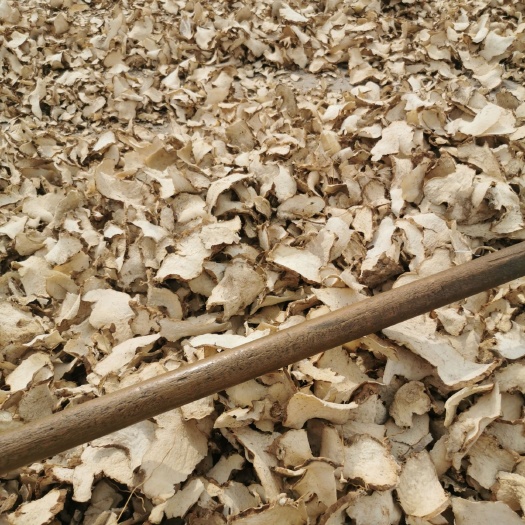 亳州 绵萆薢