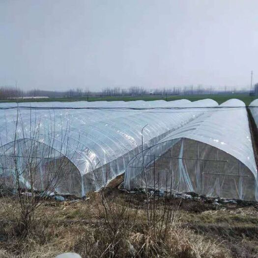 东光县种植大棚 养殖大棚价格合理 质量保证