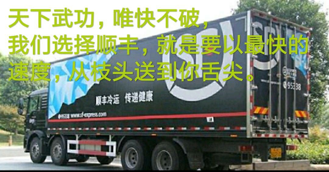 增城基岗新鲜仙进奉荔枝5斤顺丰包邮