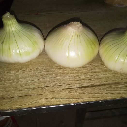  新鲜的白洋葱营养价值高自家种数量有限
