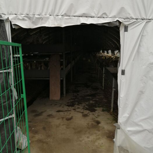 永顺县 山里人湘西肉鸭