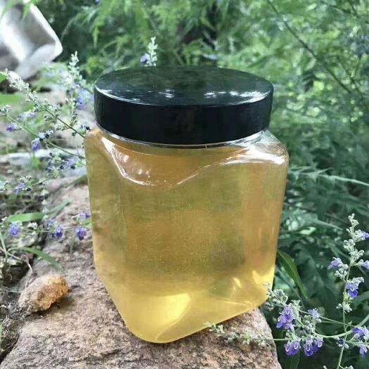  農(nóng)家自釀蜂蜜槐花蜜