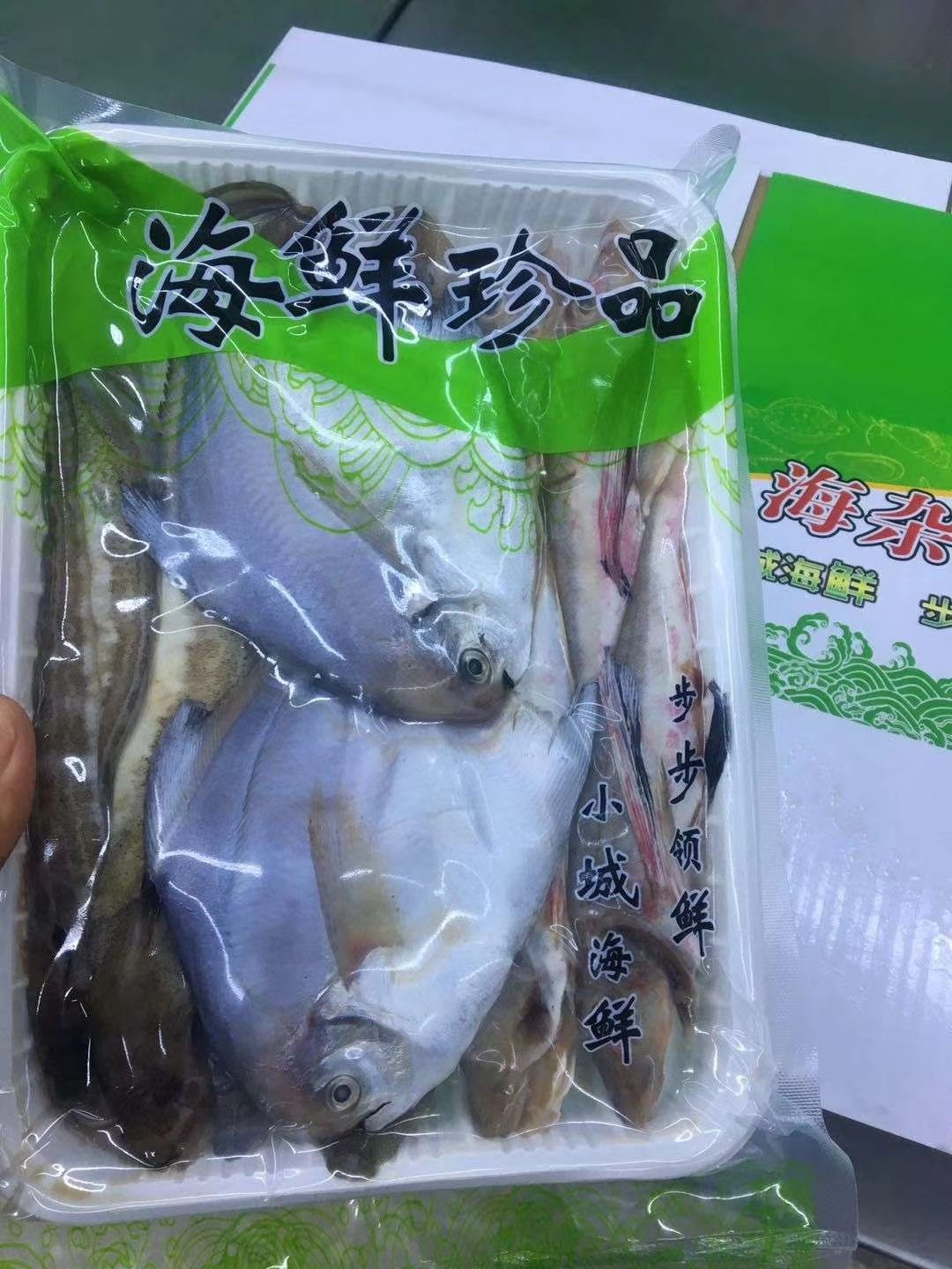 冷凍海魚 海雜魚 急凍 味道鮮美 保證品質