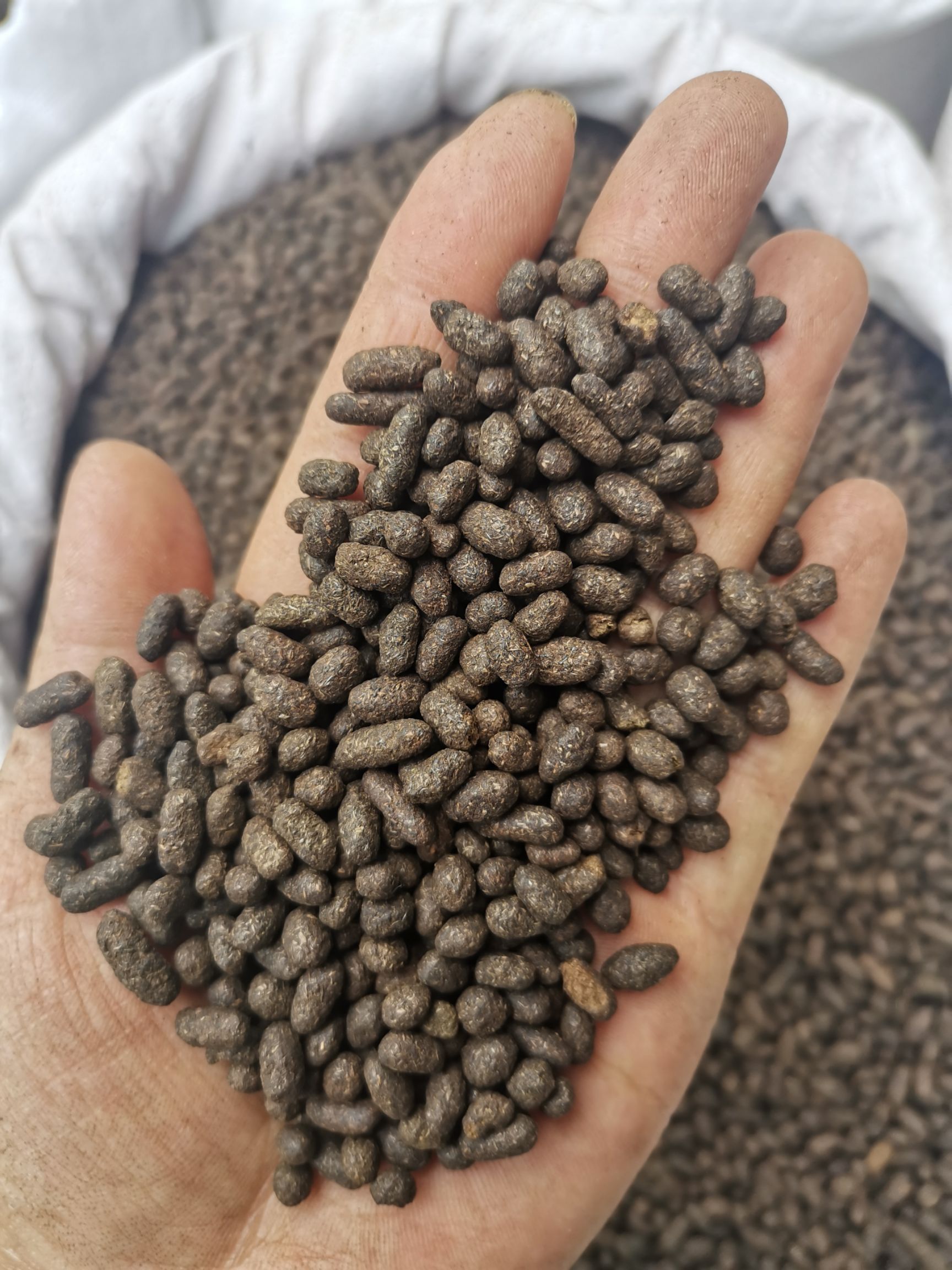 五灵脂  无硫（正品）高含量 生~醋  规格齐全 包邮到家