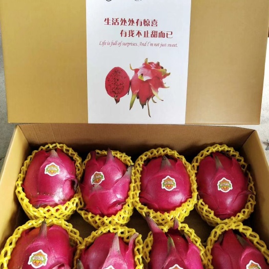 高密市 康邦农业大棚绿色火龙果