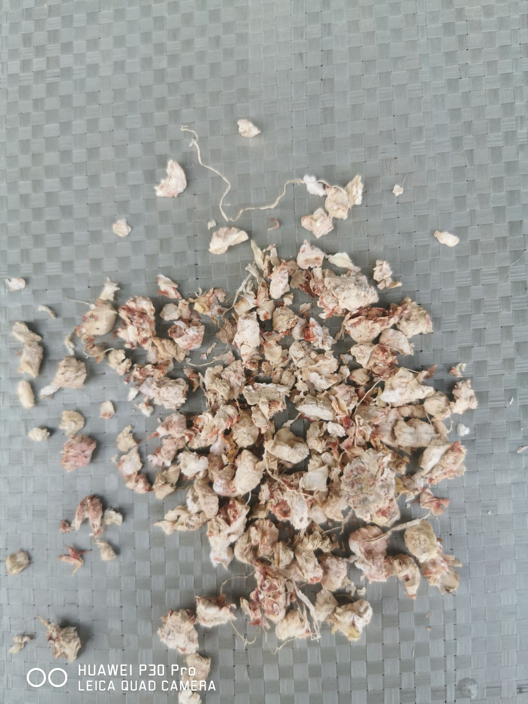 玉米芯颗粒