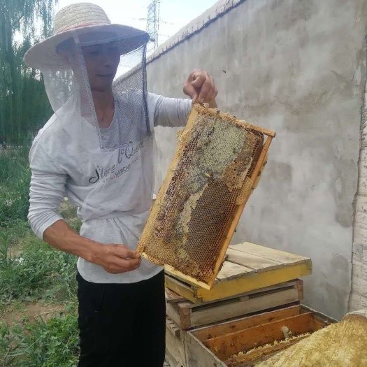 阿克苏市 自产自销天然蜂蜜，波美度42，绝，质量品质有保证