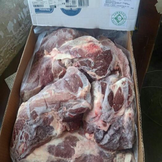保定牛前肉 牛前