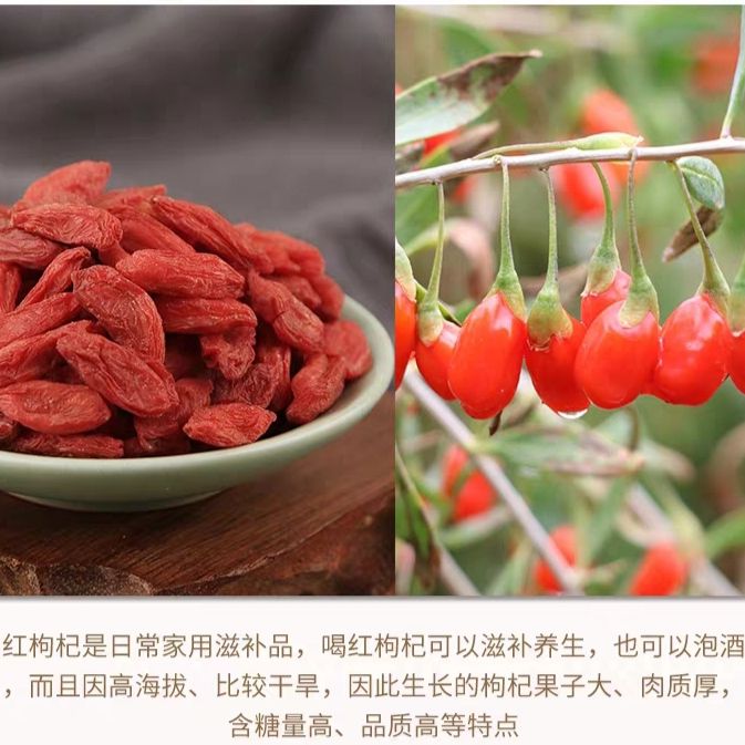 宁夏枸杞  大粒枸杞王宁夏枸杞子中宁枸杞宁夏特产多规