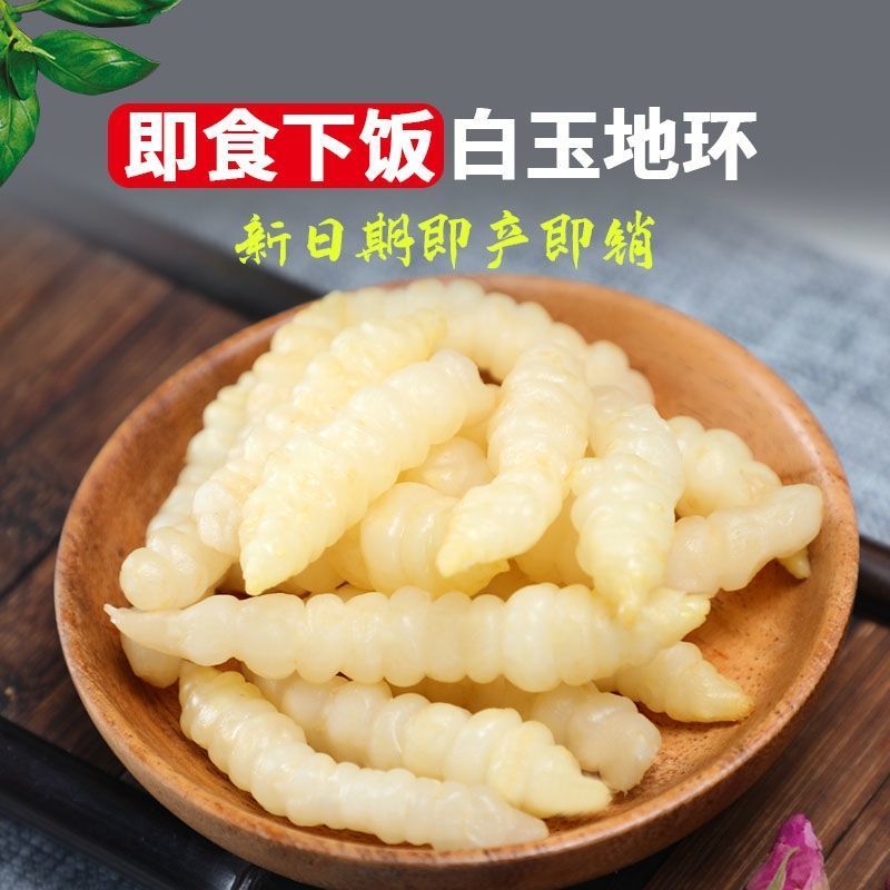 开胃菜 酸甜地牯牛白玉地环甘露开胃下饭菜新鲜种子泡菜