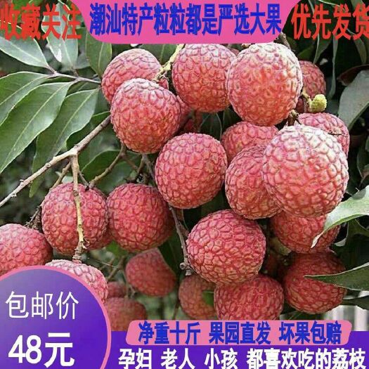 汕头 汕头雷岭黑叶荔枝5斤包邮可批发近可送货上门
