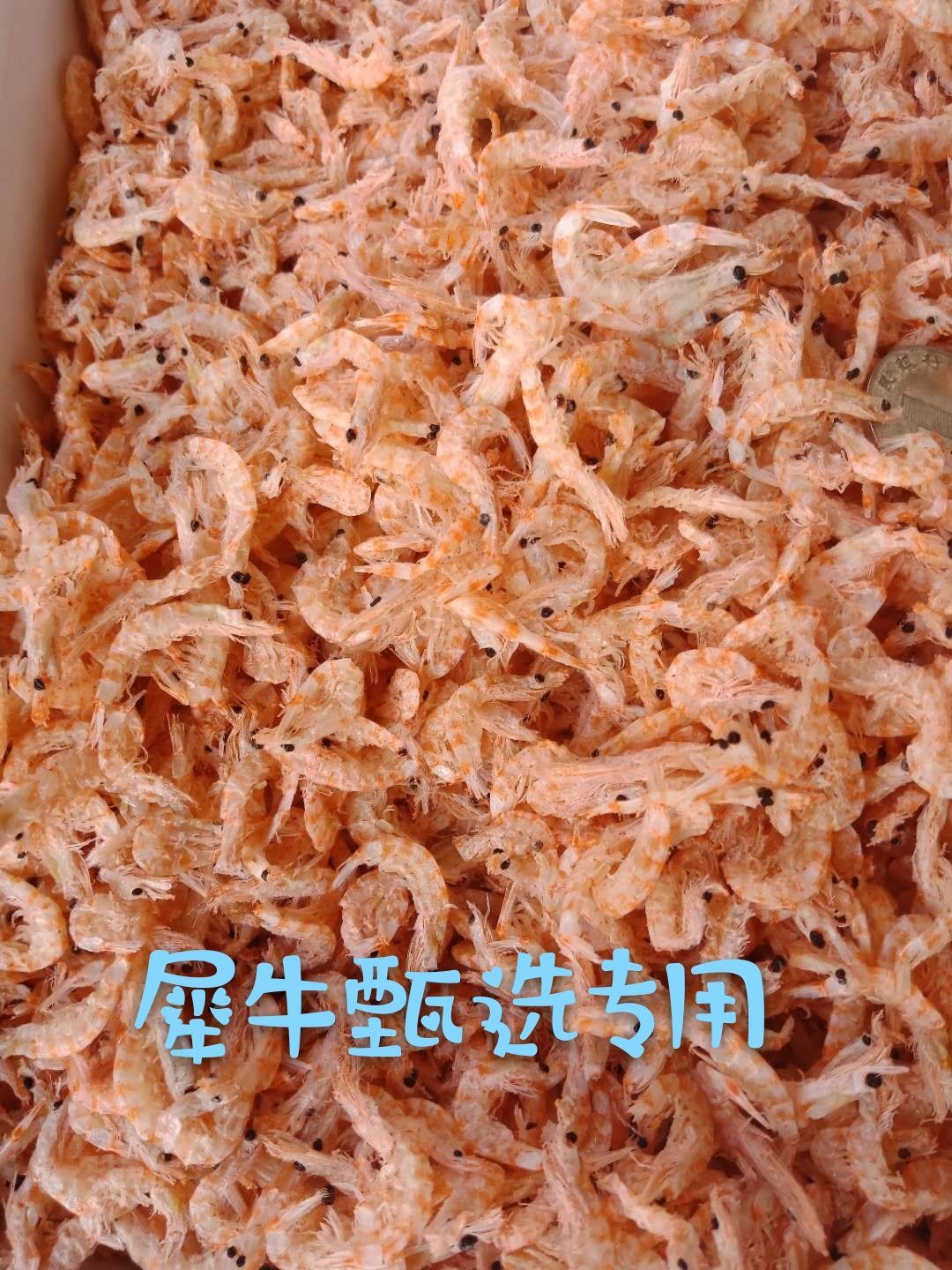 磷蝦乾 精品優質紅磷蝦 廠家直銷 貨源充足 口感鮮美