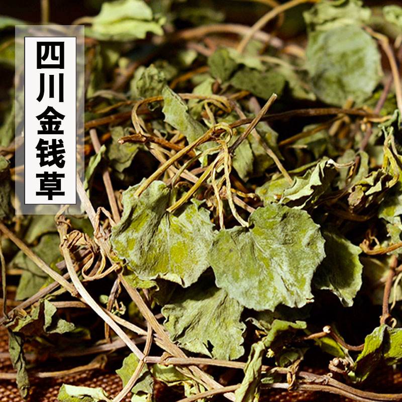 金钱草大叶，地产药材自然生长，干度好
