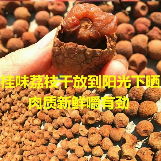 高州市桂味荔枝 2cm