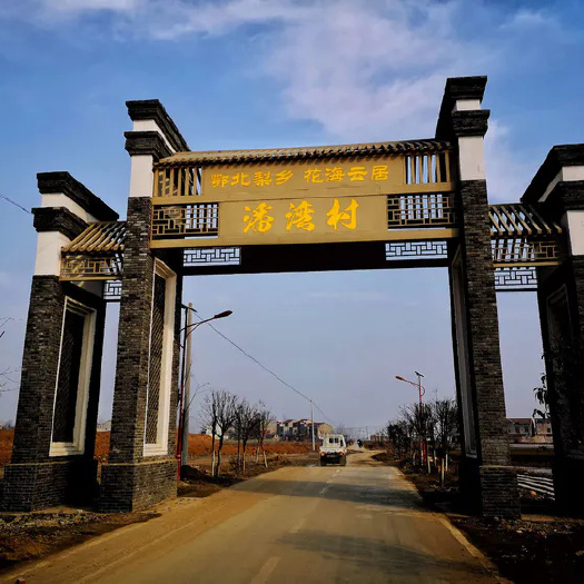 襄樊 万亩梨园优质果，等你来采摘