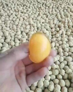 商水县河南鸡皮蛋五香变蛋