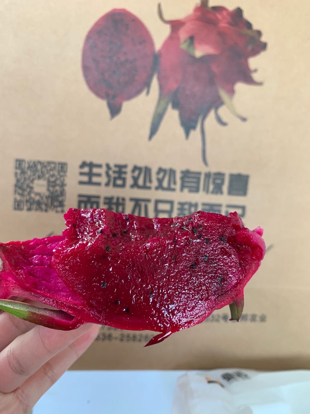  康邦农业北方大棚无公害火龙果