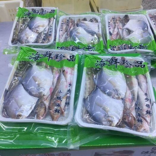 东港市冷冻海鱼 海杂鱼 急冻 味道鲜美 保证品质