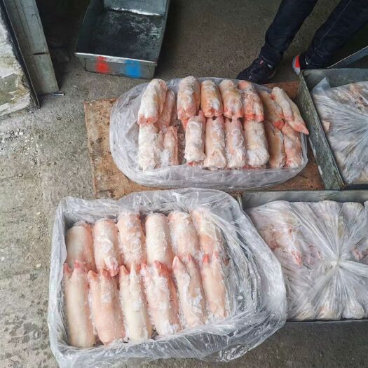 衡阳猪蹄 标猪带筋前蹄
