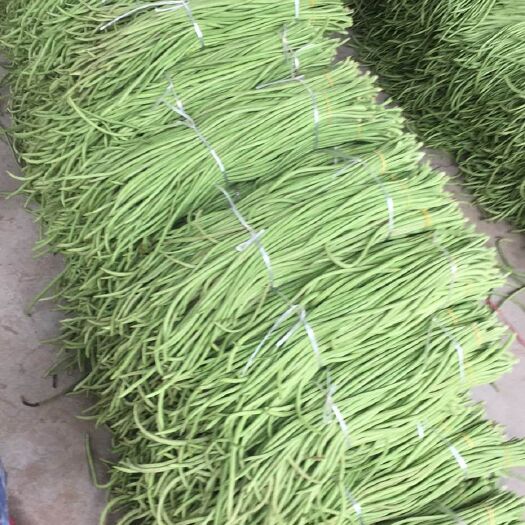 云梦县 长豆角，可走市场和加工厂，量大欢迎来电咨询
