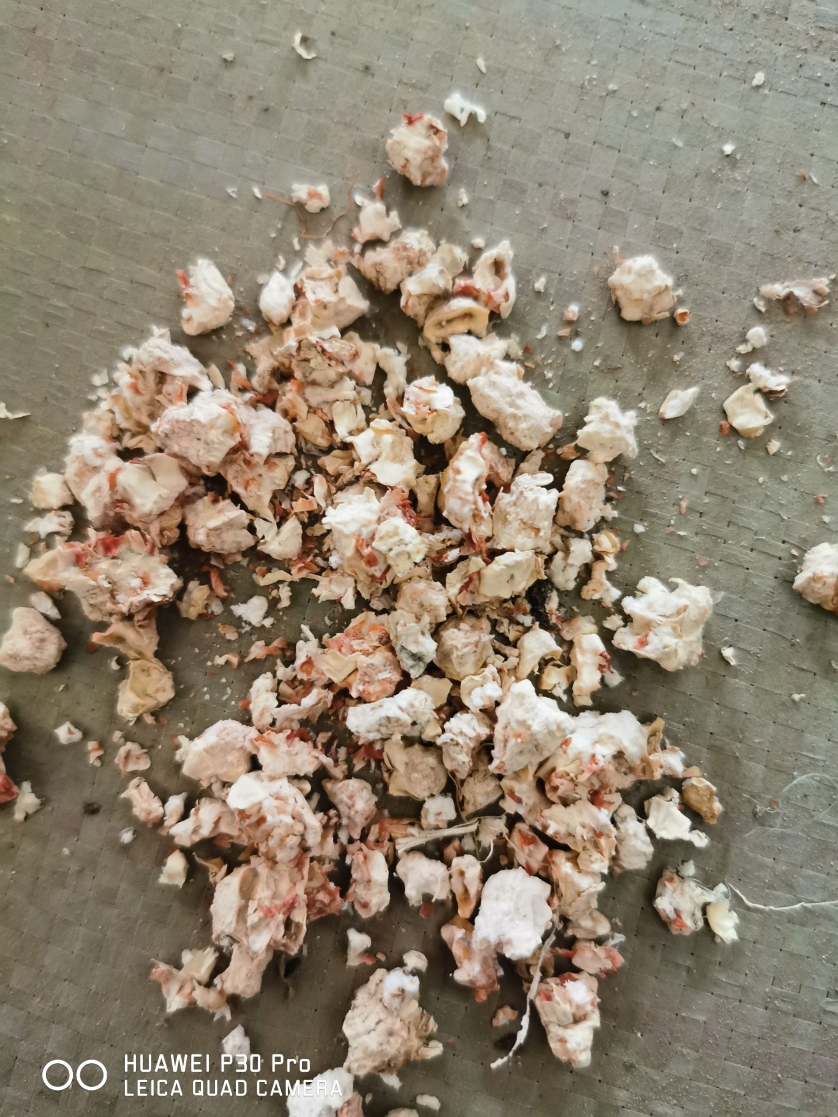 玉米芯颗粒