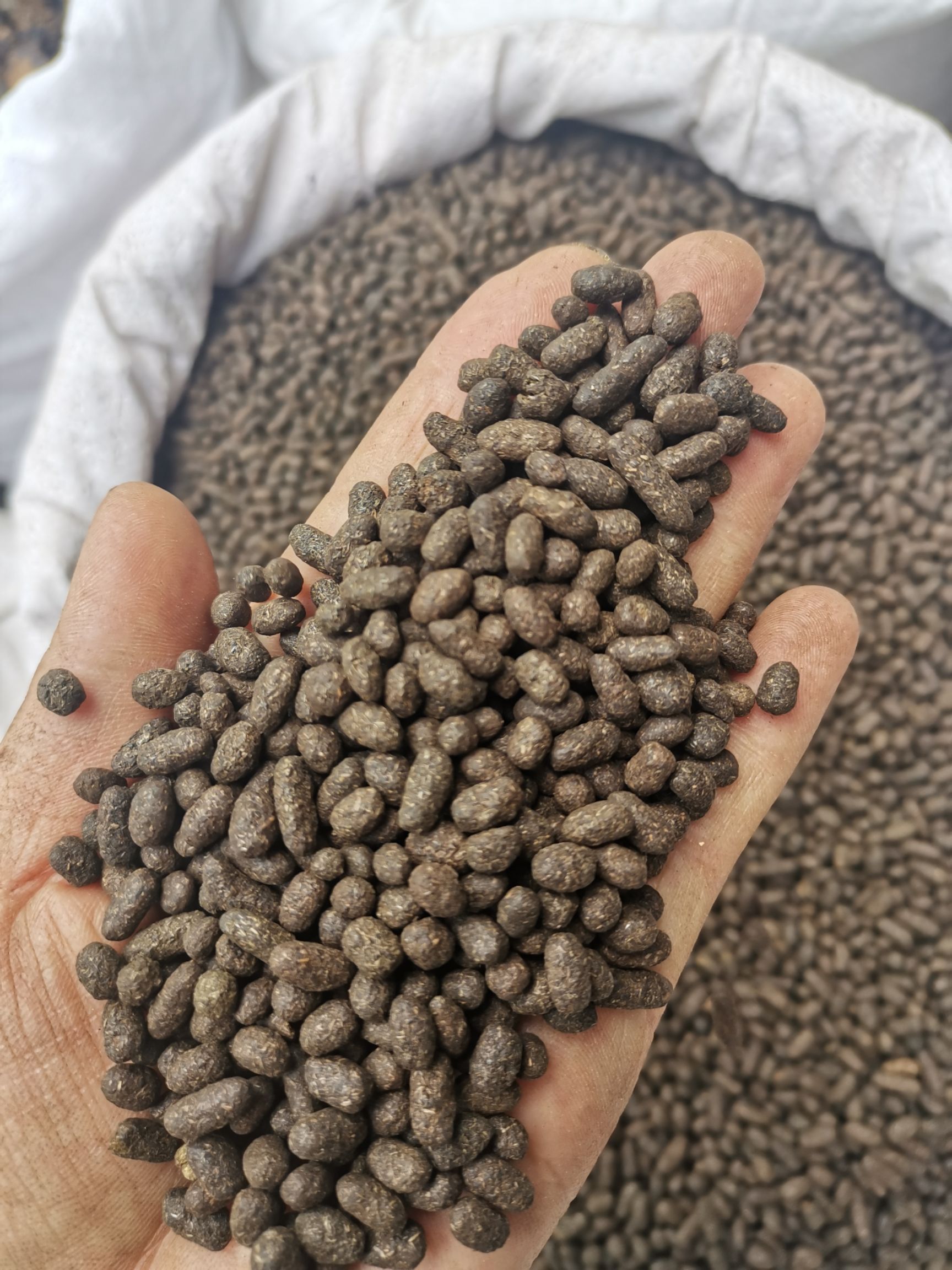 五灵脂  无硫（正品）高含量 生~醋  规格齐全 包邮到家