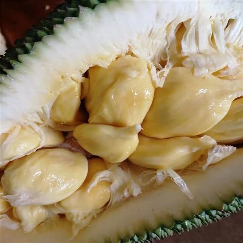 【优惠包邮】泰国榴莲蜜榴莲香味扑鼻菠萝蜜与榴莲的混合体