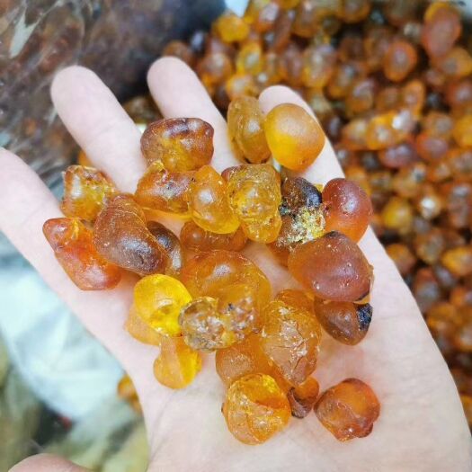 佛山 【名称】精品1.5cm大桃胶65元/斤