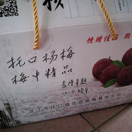 洪江市托口东魁杨梅