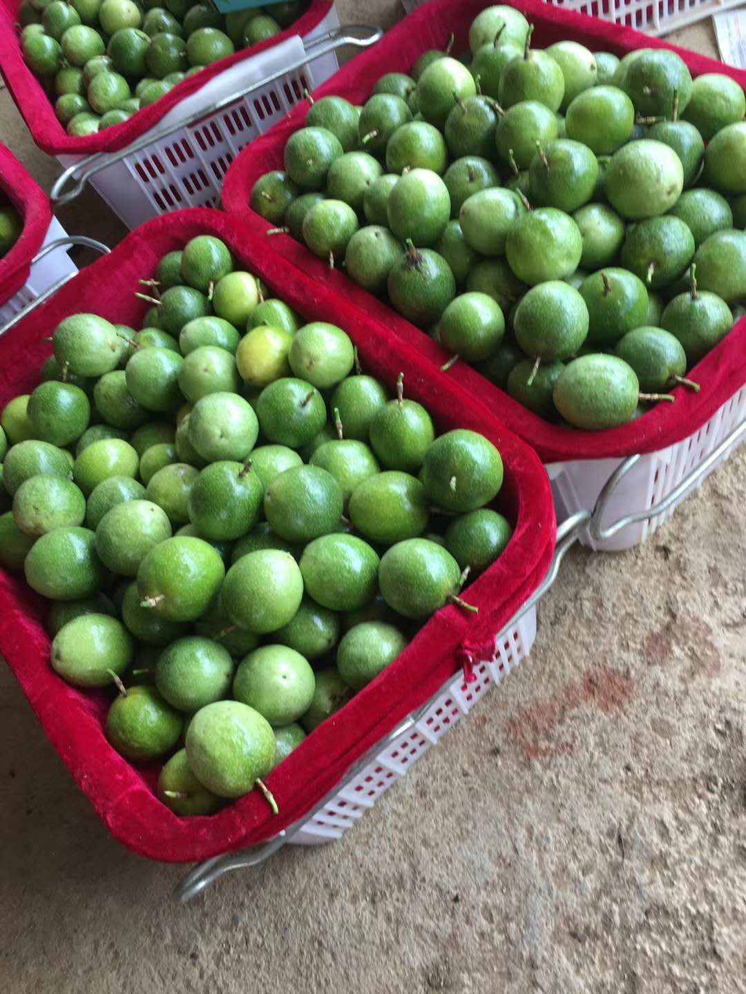  黄金百香果