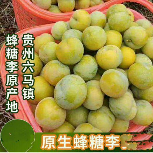 镇宁县 六马蜂糖李是通过水果认证，含糖高，口感好，果汁好，甜如蜂蜜