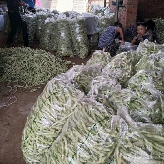 兴城市 辽宁兴城精品白条豆角！